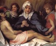 Andrea del Sarto Virgin Mary lament Christ oil on canvas